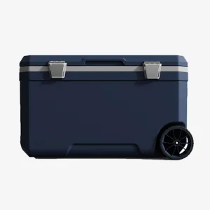 Car Camping Coolers for Aston Martin Vanquish/Vantage/Cygnet/DB11/Rapide, Waterproof Portable Cooler, Leak Proof Picnic Insulated Bag, Ultra-Light Premium Ice Chest Box,C-Blue-70L