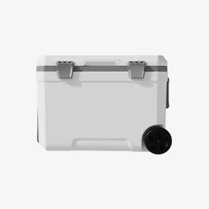 Car Camping Coolers for Lincoln Mark/MKT/MKX/Premiere/Town Car, Waterproof Portable Cooler, Leak Proof Picnic Insulated Bag, Ultra-Light Premium Ice Chest Box,B-White-45L