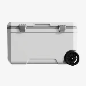 Car Camping Coolers for Peugeot 406/407/408/506/507/508/Boxer/Expert, Waterproof Portable Cooler, Leak Proof Picnic Insulated Bag, Ultra-Light Premium Ice Chest Box,B-White-70L