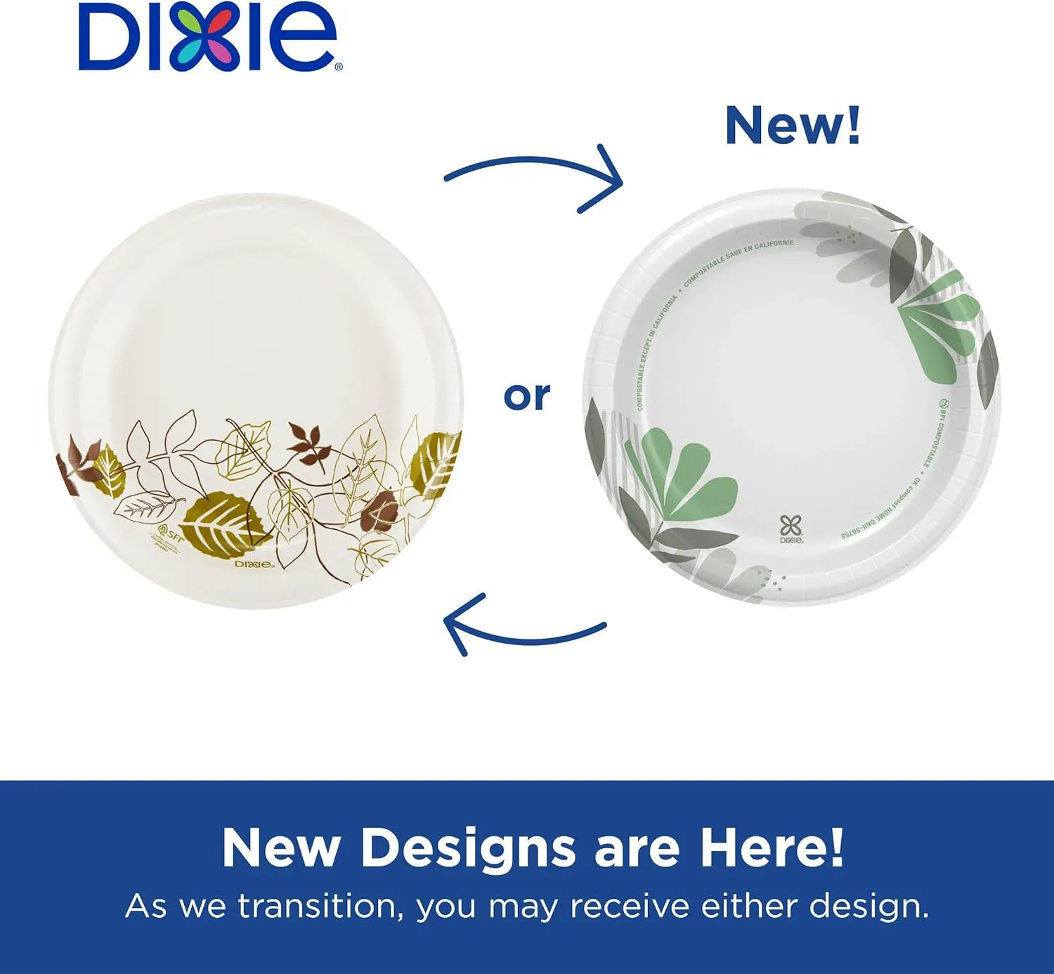 Dixie 6 7/8 Inch Medium-Weight Paper Plates, Pathways, 500 Count, Bulk Case, 4 Packs/125 Count Per Pack, (Georgia-Pacific #UX7WS)