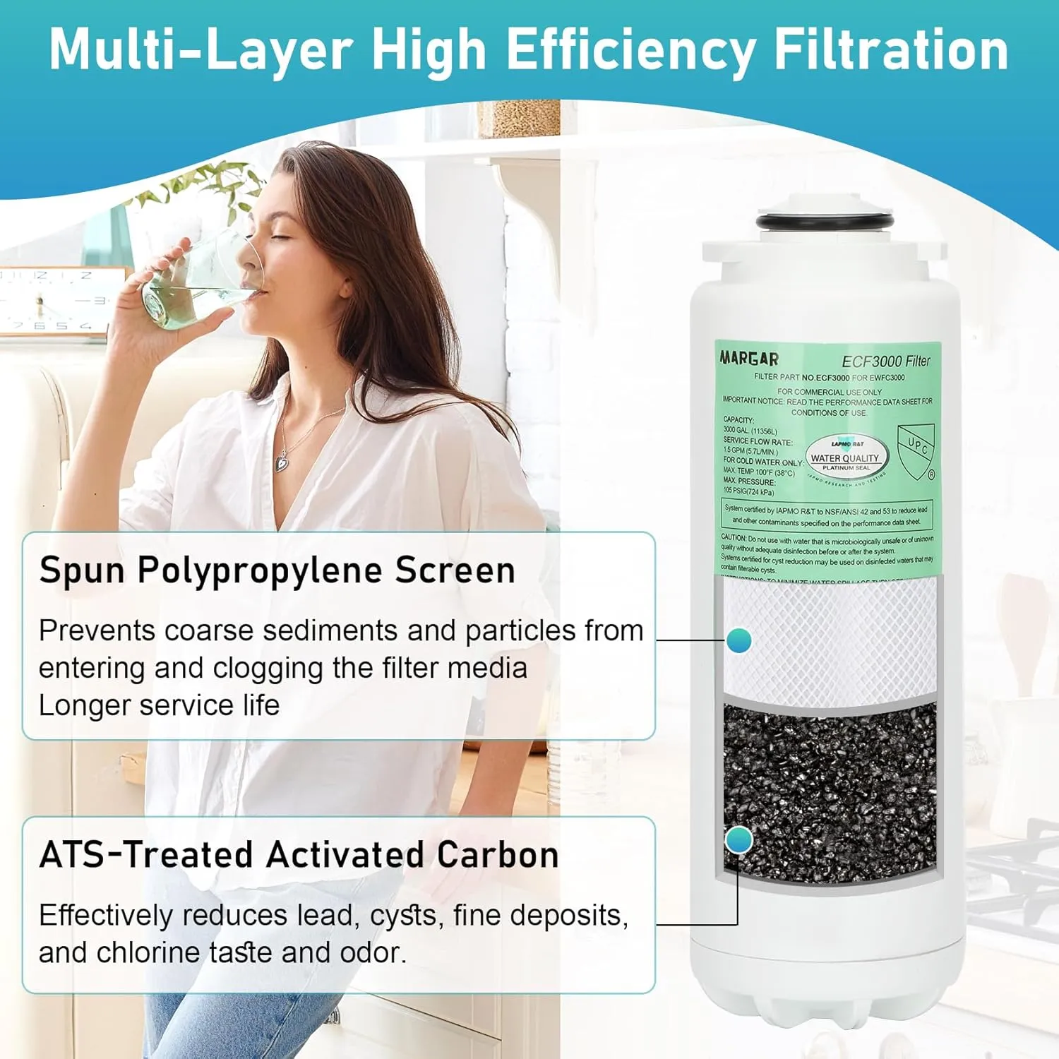 ECF3000 Filters, Compatible with Elkay ezH2O WaterSentry Plus Replacement, High Capacity 3000 Gallons for Built-in Elkay Water Dispenser 51300C ECF3000 ERF750 Filters Replacement (No Chip) 3 Packs