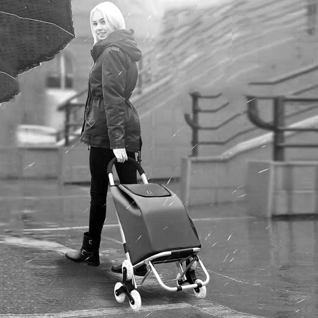 Folding Shopping Cart, Folding Shopping Trolley with Removable Waterproof Oxford Cloth Shopping Bag Shopping Cart for Laundry Grocery Grocery Utility Carts(B,6 Wheels)
