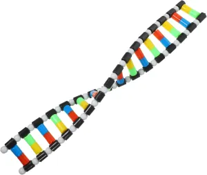 Generic Molecular Model Kit:Double Helix Structure Model Molecular Model Kit for Kids Students Instructional