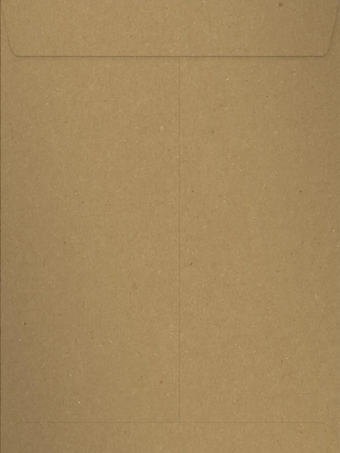 LUXPaper 9 x 12 Open End Envelopes | Peel & Press | Grocery Bag Brown | 70lb. Text | 50 Qty