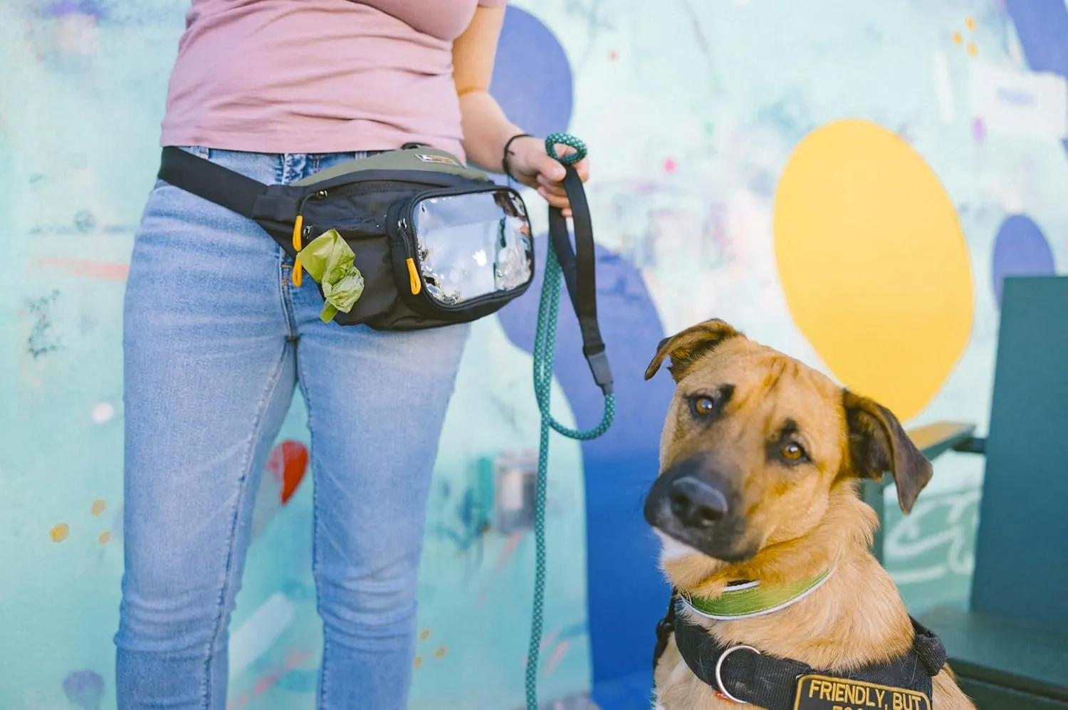 OllyDog Trailblazer Pack | Fanny Pack | Dog Treat Pouch | Includes Rubber Fetch Ball | Water-Resistant | Poop Bag Dispenser | Hands-Free | Dog Walking & Training