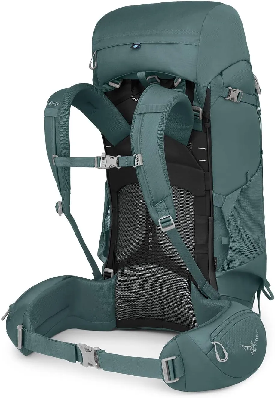 Osprey Viva 65L Women's Backpacking Backpack, Succulent Green, Extended Fit