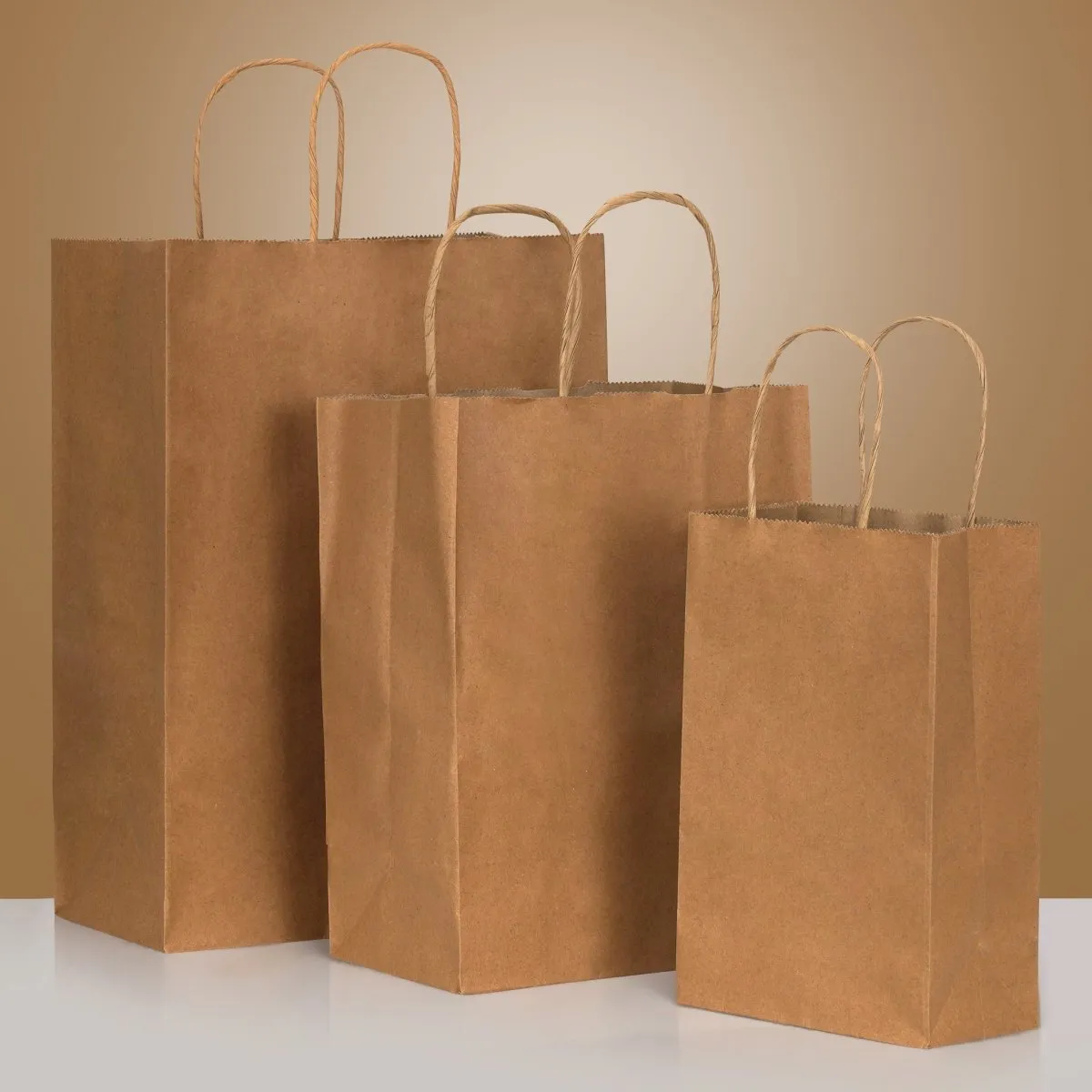 Paper Shopping Bag - 16 x 6 x 13