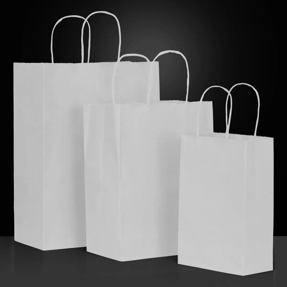 Paper Shopping Bag - 16 x 6 x 13