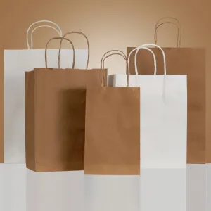 Paper Shopping Bag - 16 x 6 x 13