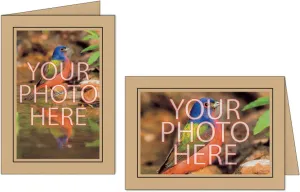 Photographer's Edge, Photo Insert Card, Ginger with Black Border, Set of 10 for 4x6 Photos