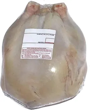 Poultry Shrink Bags (13x20) Zip Ties and Labels, 3 MIL, BPA/BPS Free, MADE IN USA (100)