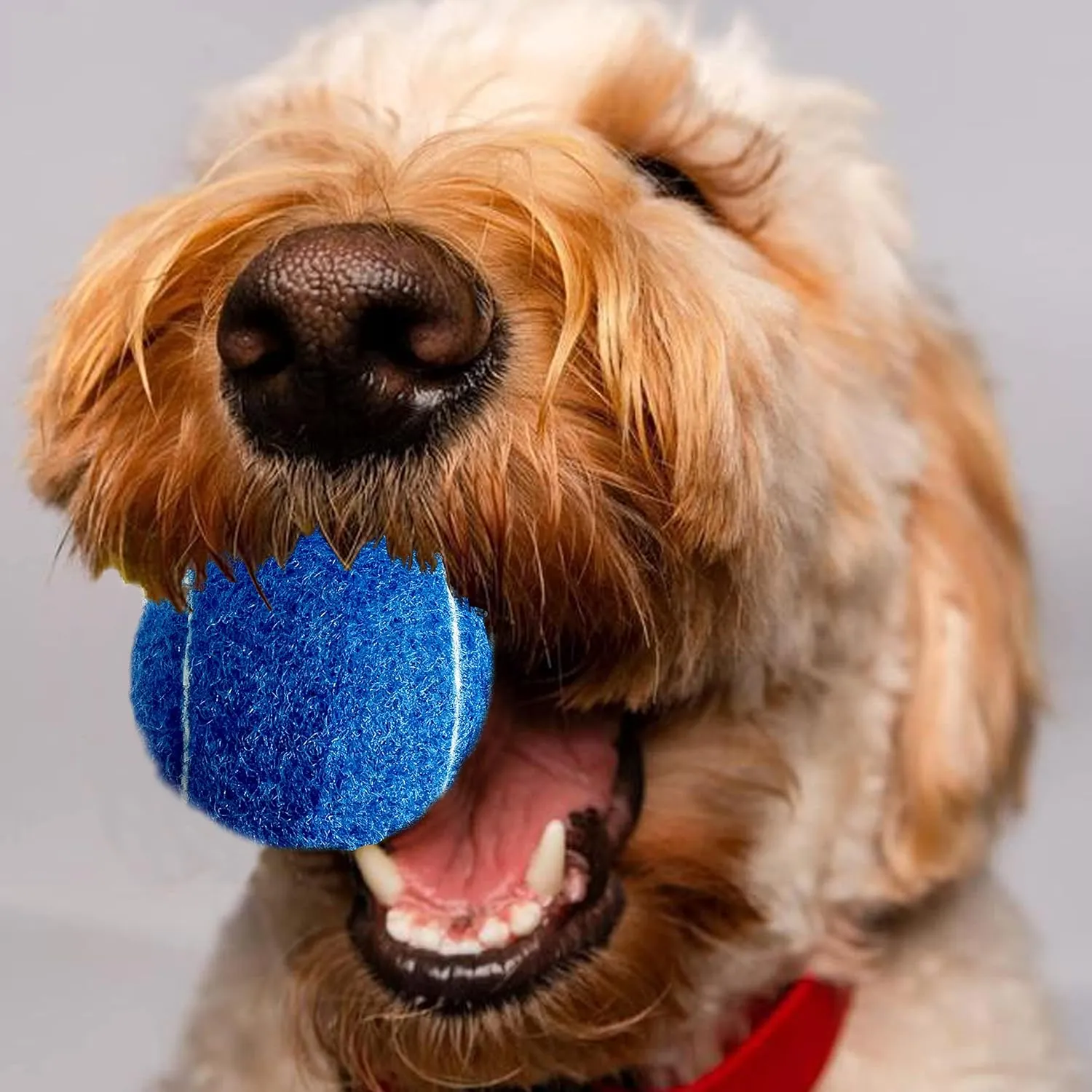 Tennis Balls, 15 Pack Practice Tennis Balls for Beginners, Training Playing Tennis Balls for Dogs, Come with Mesh Carry Bag