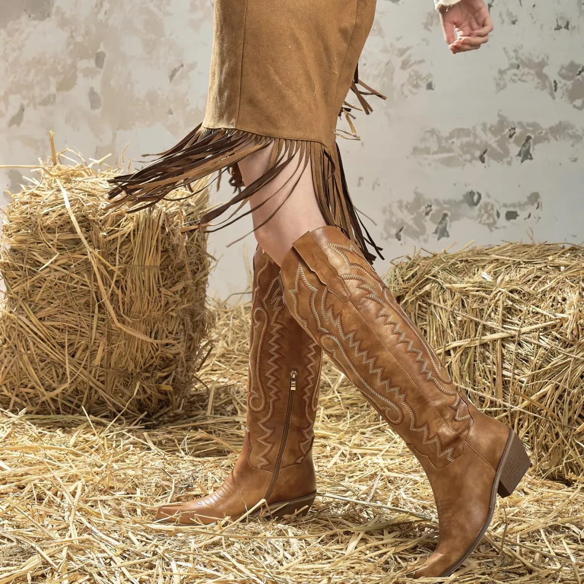 wetkiss Embroidery Cowboy Boots for Women with Zipper Pointed Toe Chunky Low Heel Cowgirl Boots